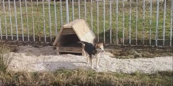 Novi uposlenik u mrijestili&scaron;tu